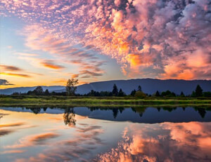 克莱总统连续不败，实力不可小觑