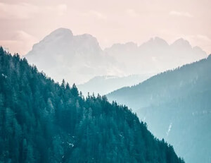 身心斯联壮志不减，雪藏实力获得大胜——从沉淀到爆发的力量艺术