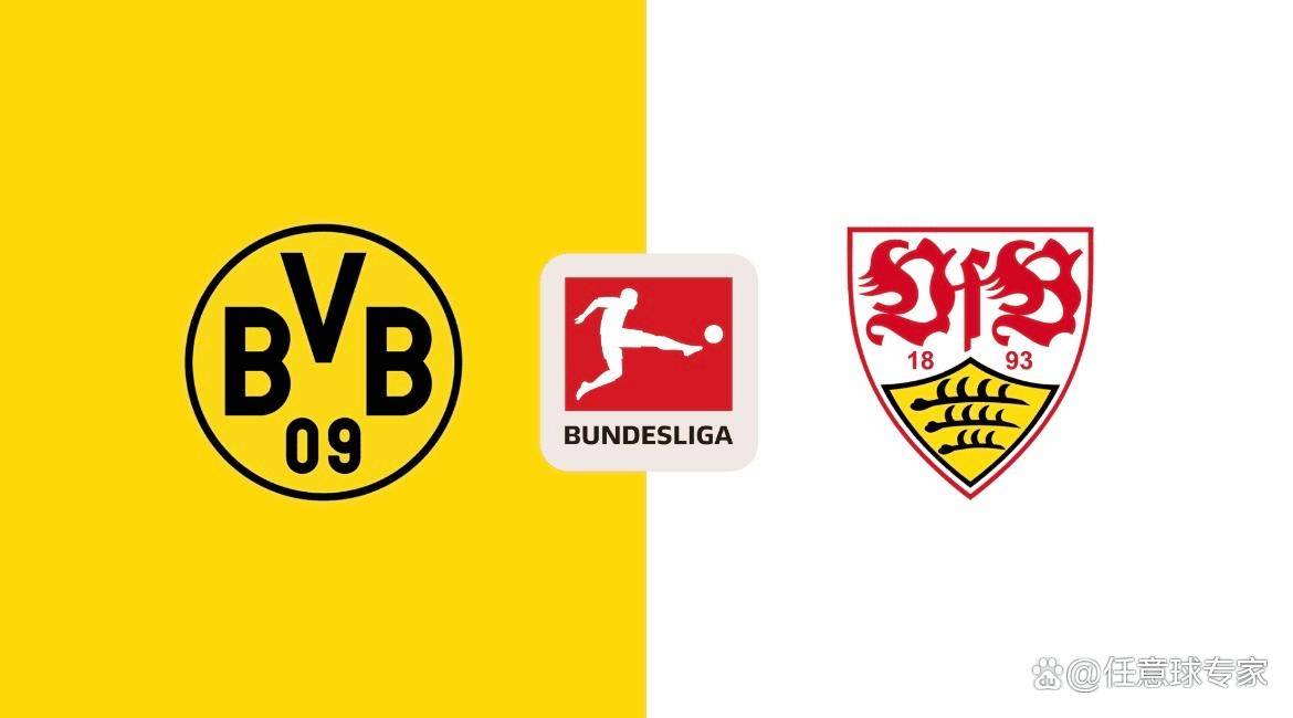 斯图加特球队宣布新援已经加盟,期待其表现的简单介绍 斯图加特球队宣布新援已经加盟,期待其表现的简单介绍