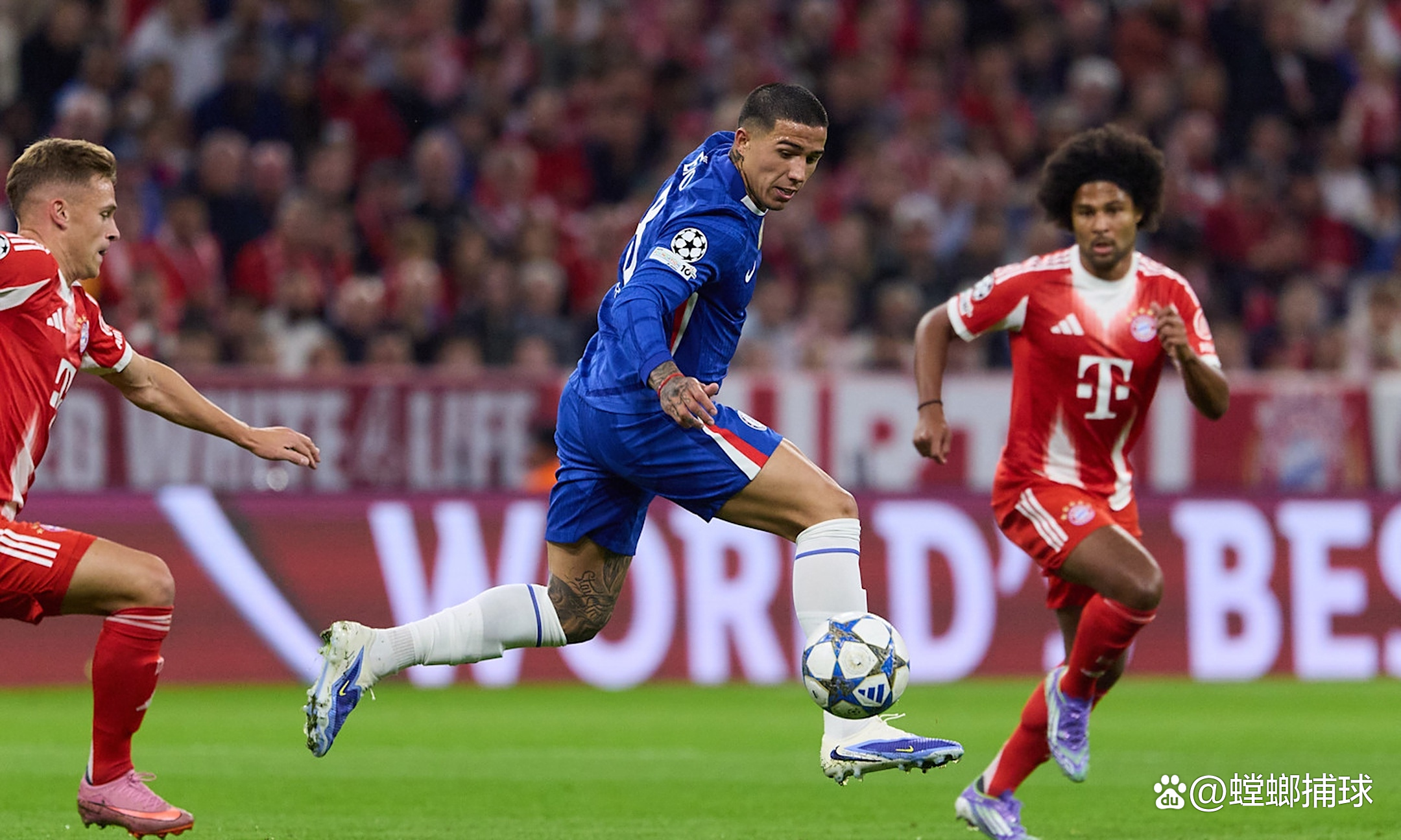 包含拜仁慕尼黑胜切尔西，巅峰对决的词条